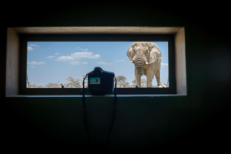 Privates Fotoversteck im privaten Reservat image