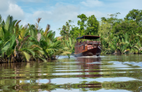 Tanjung Puting Nationalpark image