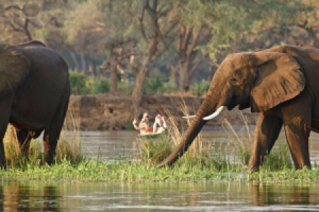 De grandiose Flusslandschaften des Sambesis image