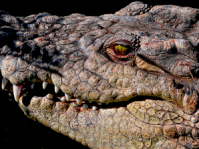 Ende des Abenteuers image