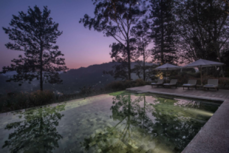 Im Herzen der Teekultur image