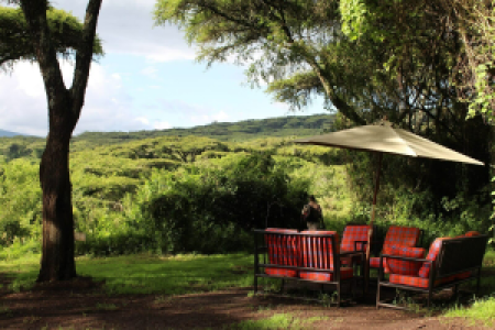Ngorongoro Conservation Area image