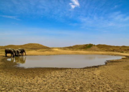 Serengeti Seronera image