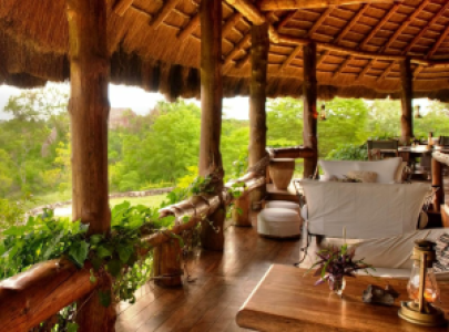 Wo die Savanne sich in Dschungel verwandelt image