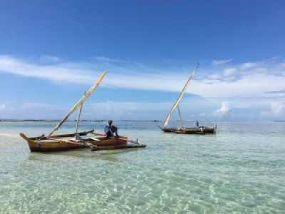 Das Rauschen des Indischen Ozeans image